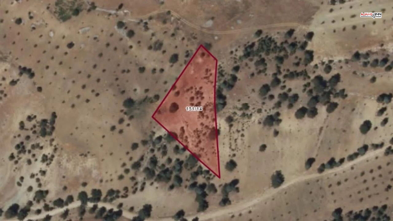 Dulkadiroglunda Tarla Satışta Ajans344