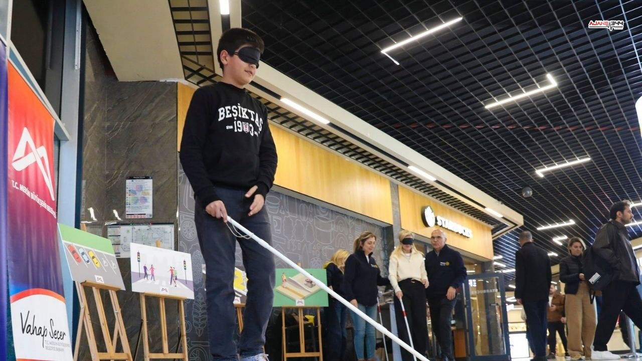 Görme Sorun Ajans344