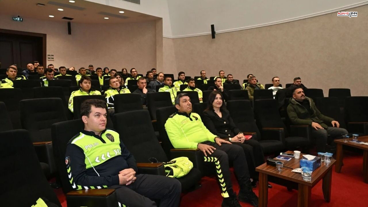 Hız Kontrol Ajnas344 (2)