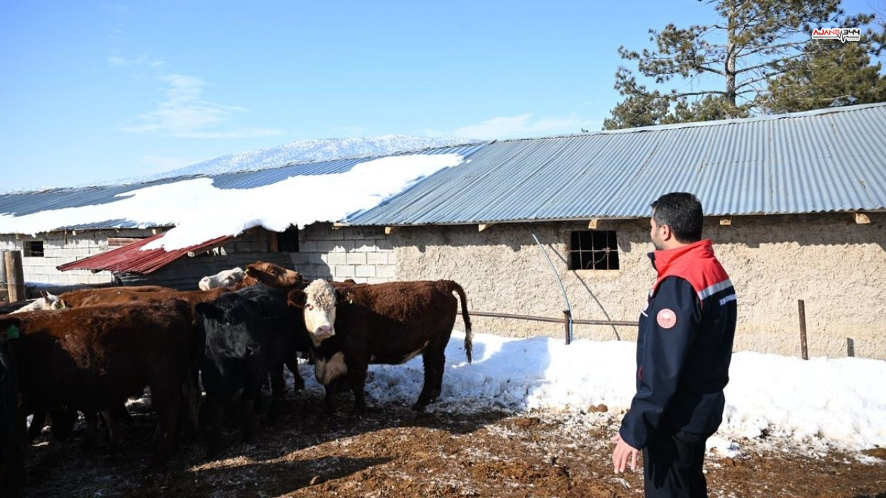 Ilk Buzzagı Ajans344 (1)