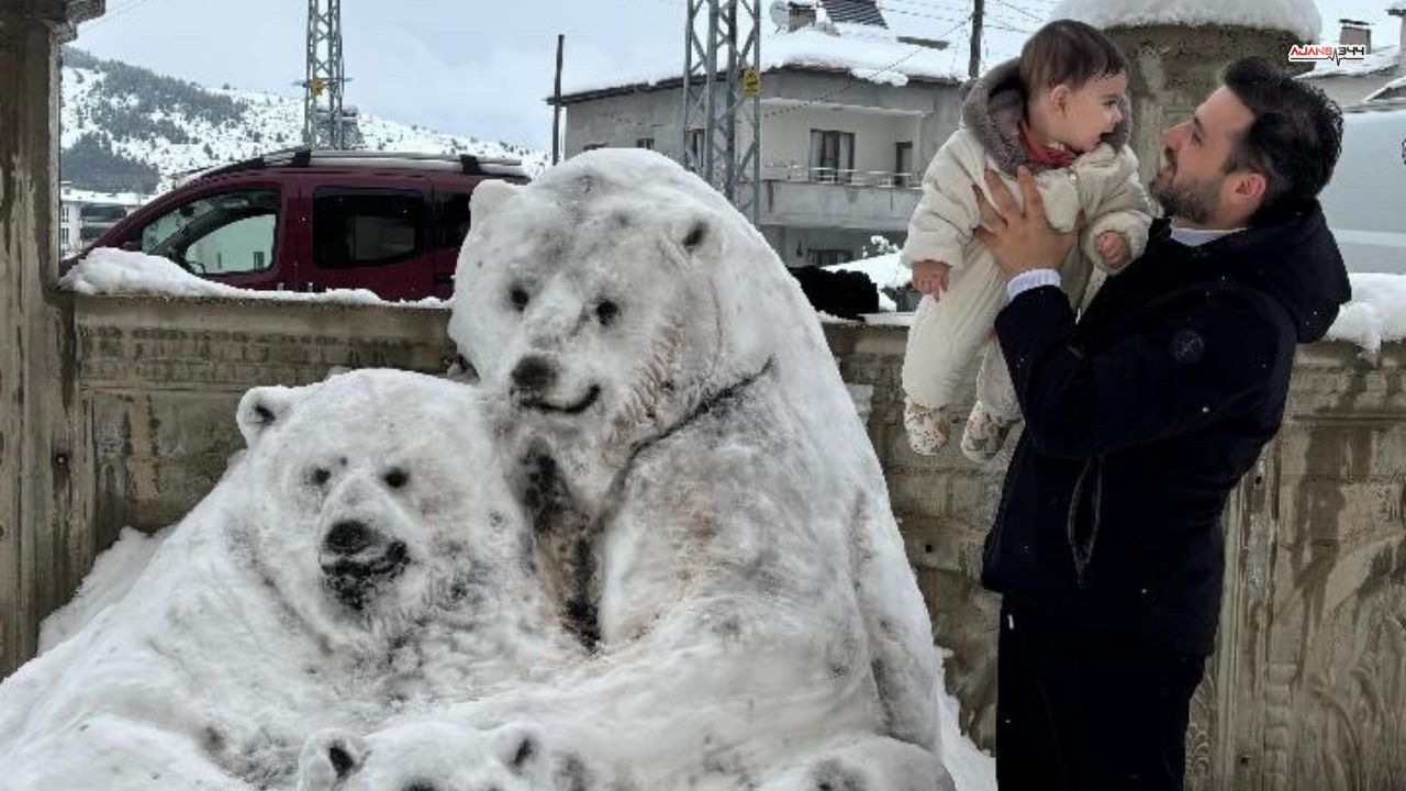 Kardan Kutup Ayısı Ajans344 (2)