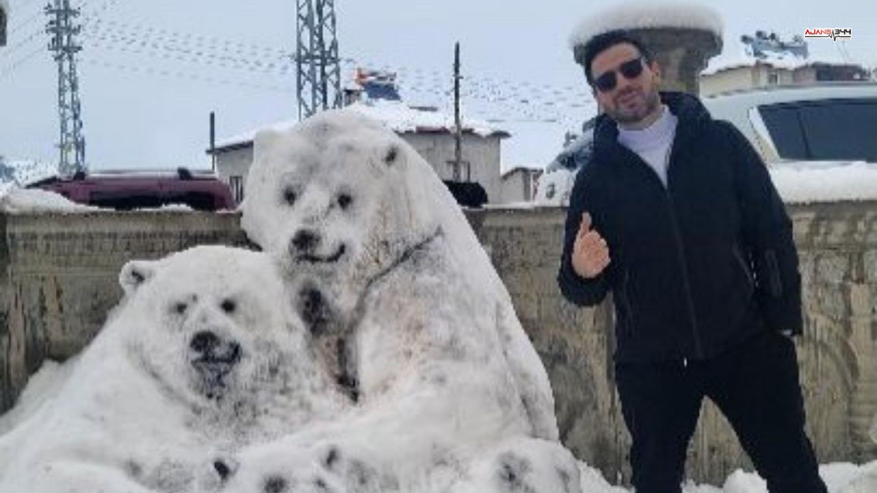 Kardan Kutup Ayısı Ajans344