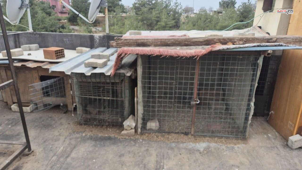 Kuş Çalan Vatandas Ajans344 (4)