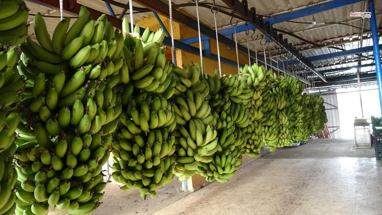 Mevyelerde Fiyat Ajans344 (1)