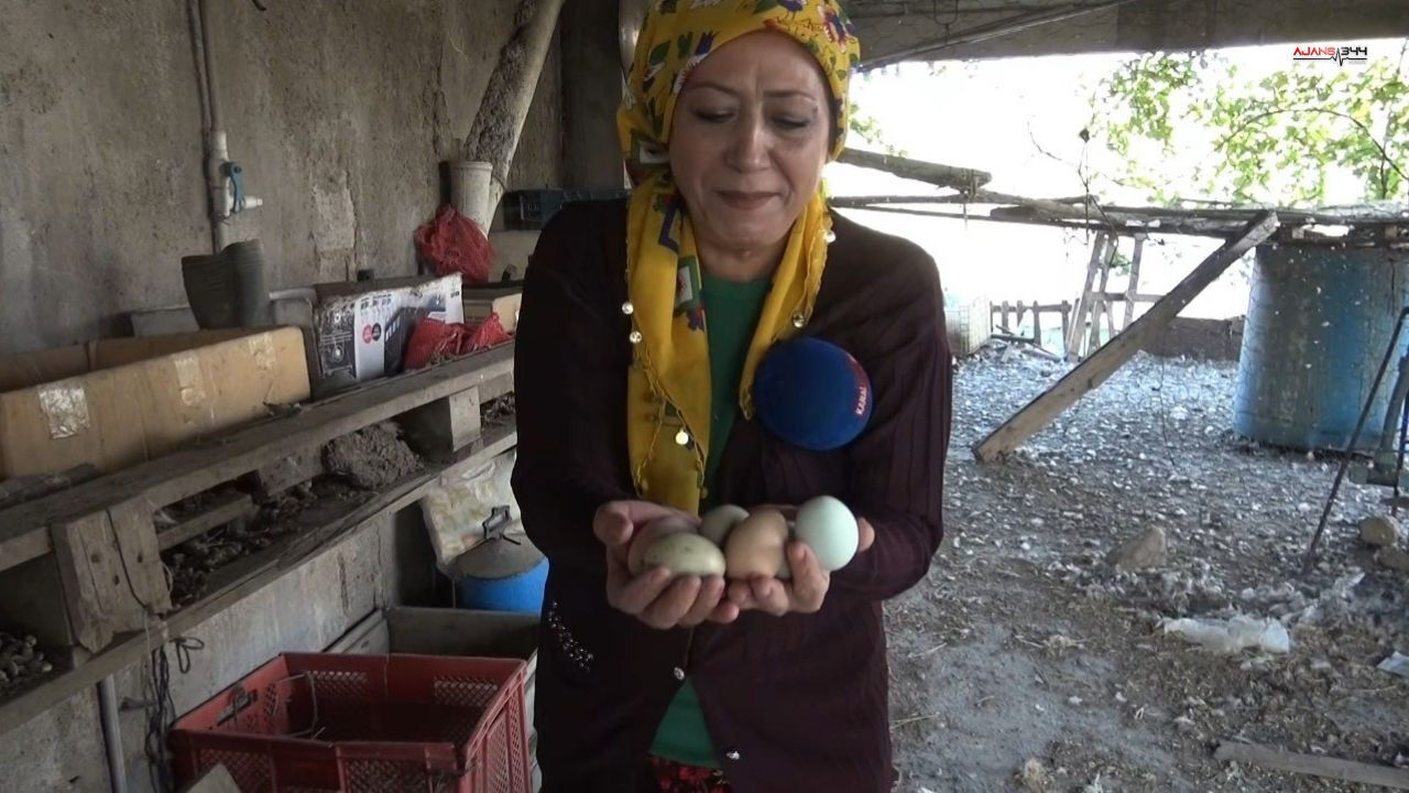 Sizin Mahallenin Duragı Selemiyw Ajnas344 (2)