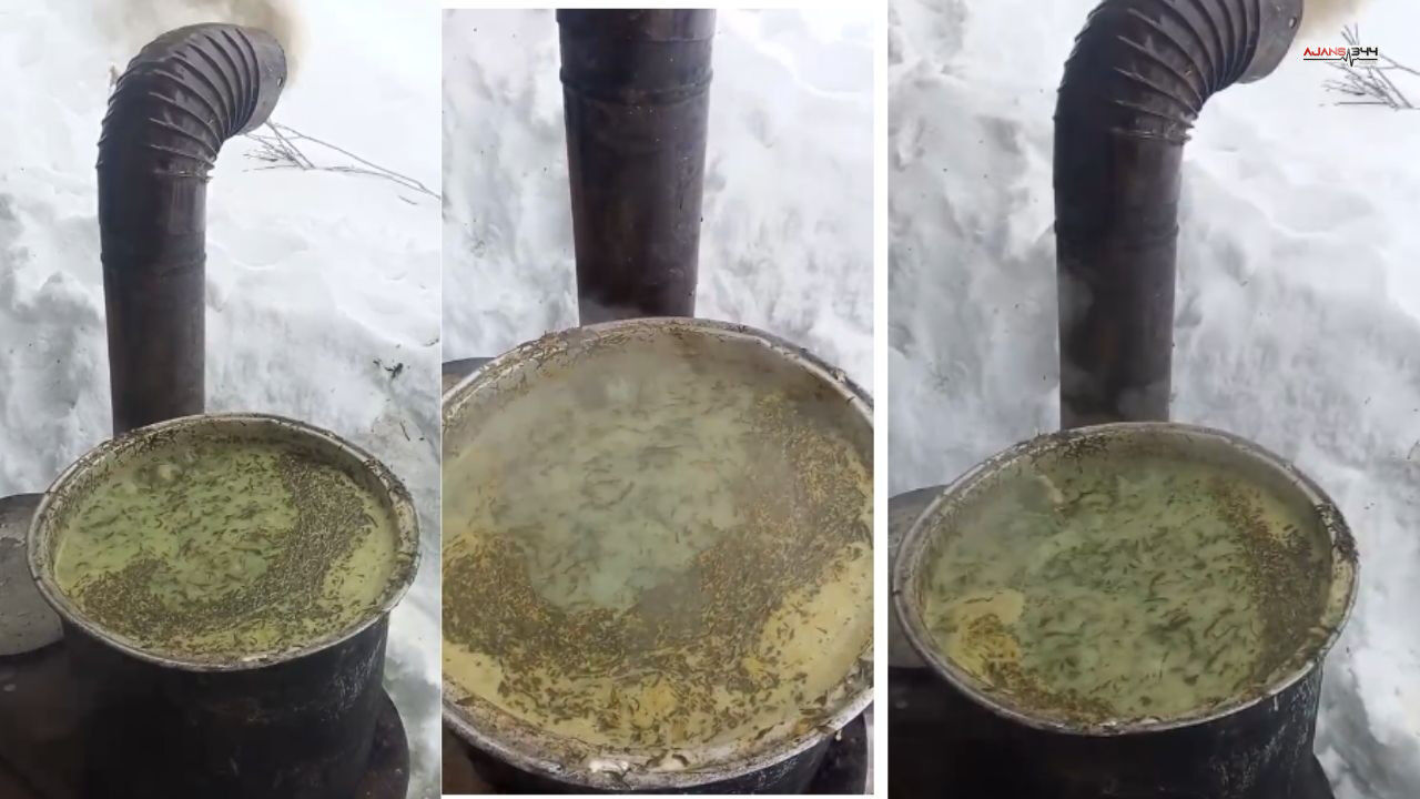 Tırsik Kazanları Ajans344