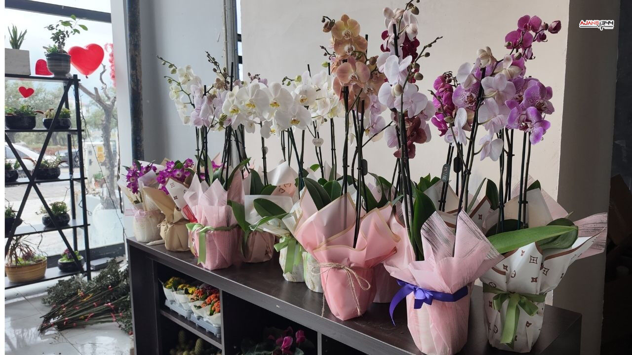 14 Şubat’ta Durgunluk, Kahramanmaraş'ta Çiçek Satışları Geriledi (3)