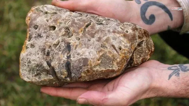 Sahillerde Milyarlik Hazine Goren Siradan Bir 19580858 6038 M