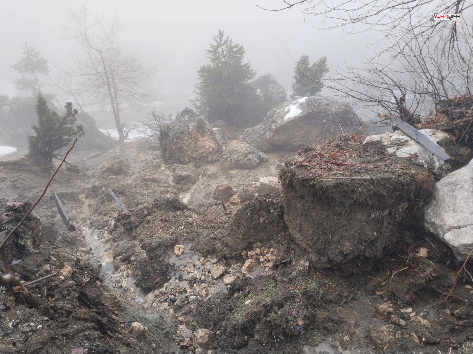 Whatsapp Image 2026 02 14 At 13.20.00 (1)