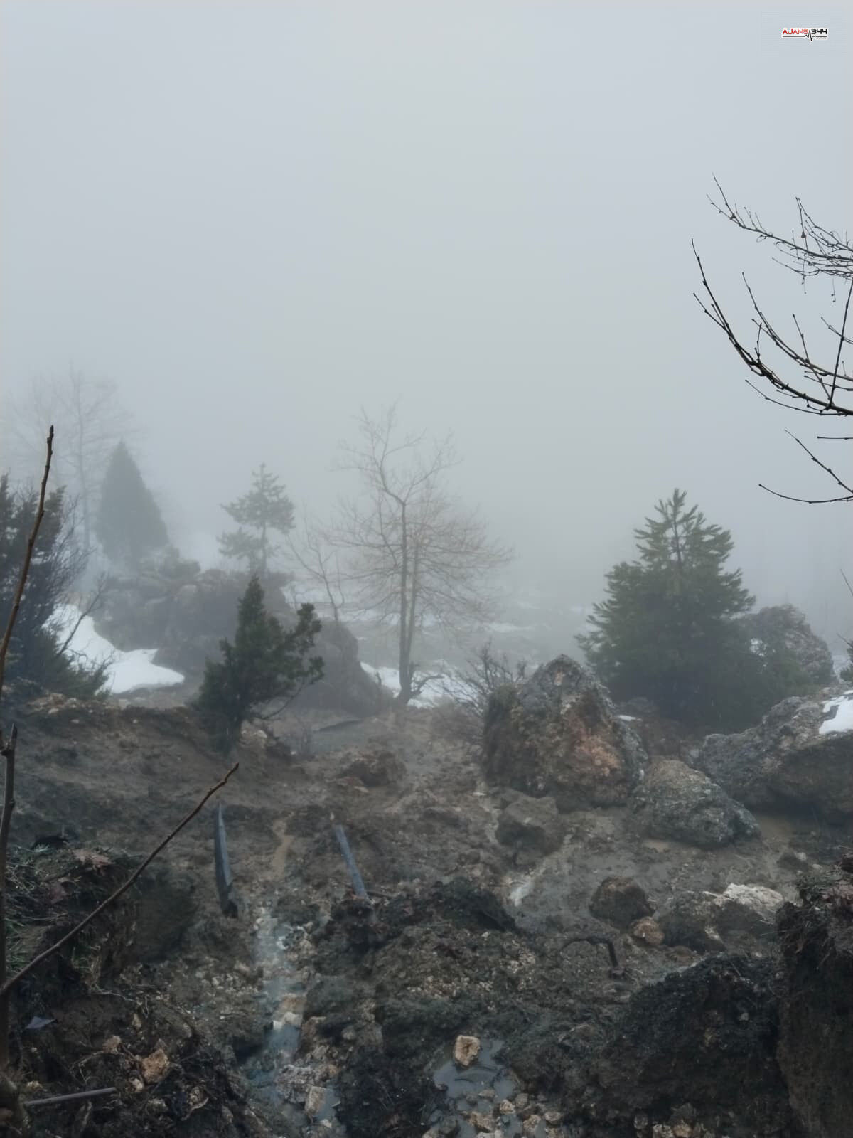 Whatsapp Image 2026 02 14 At 13.21.51 (1)