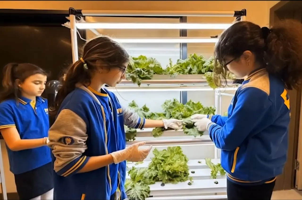 Ortaokul Öğrencilerinden Maruldan Şampuan Reyhandan Baharat 5