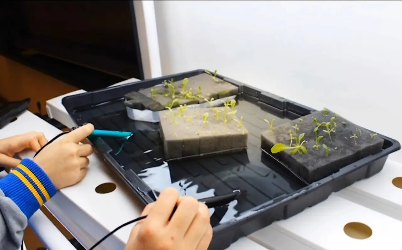 Ortaokul Öğrencilerinden Maruldan Şampuan Reyhandan Baharat 9