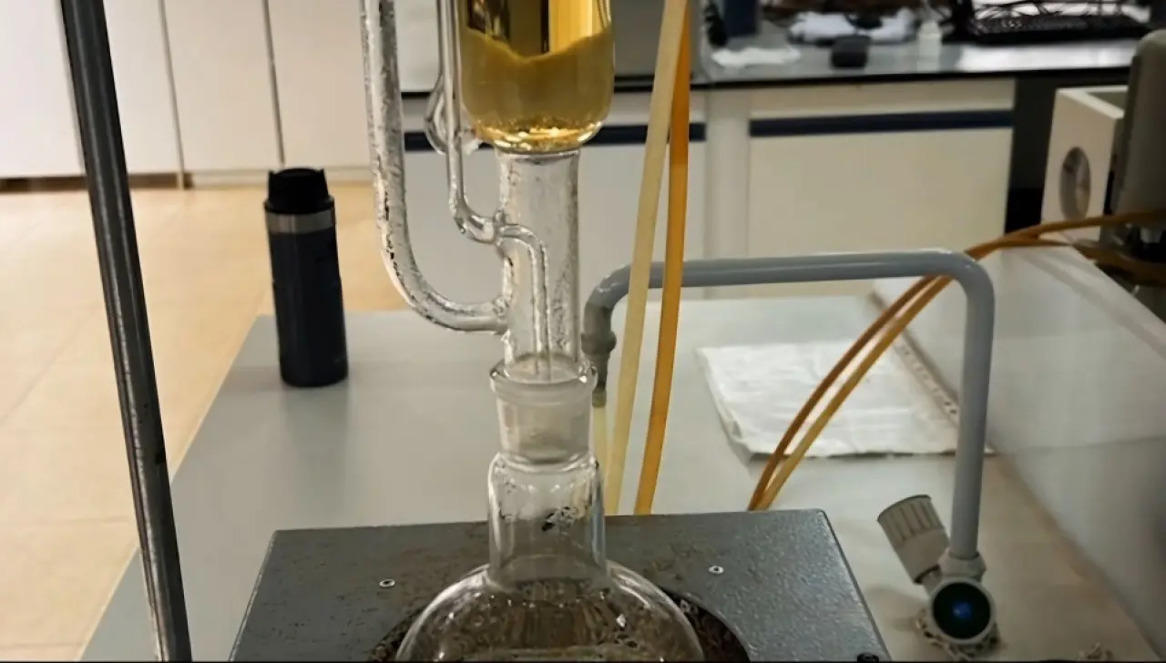 Ortaokul Öğrencilerinden Maruldan Şampuan Reyhandan Baharat 3