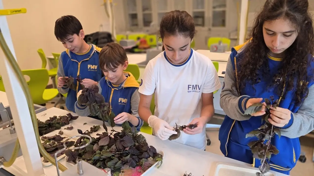 Ortaokul Öğrencilerinden Maruldan Şampuan Reyhandan Baharat 8