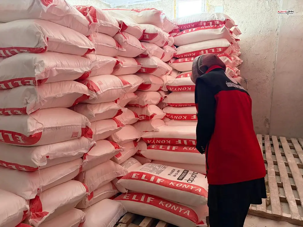 H Cp7 Y E Z X Q A E E G Yz