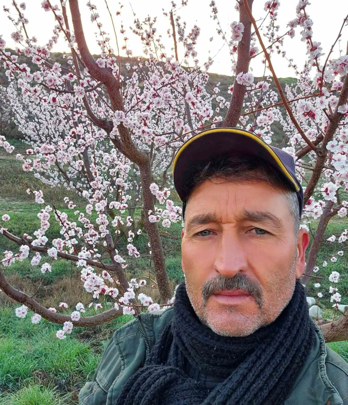 Mersin'de zamansız zirai ilaçlama arıların ölümüne sebep oldu İhlas Haber  Ajansı