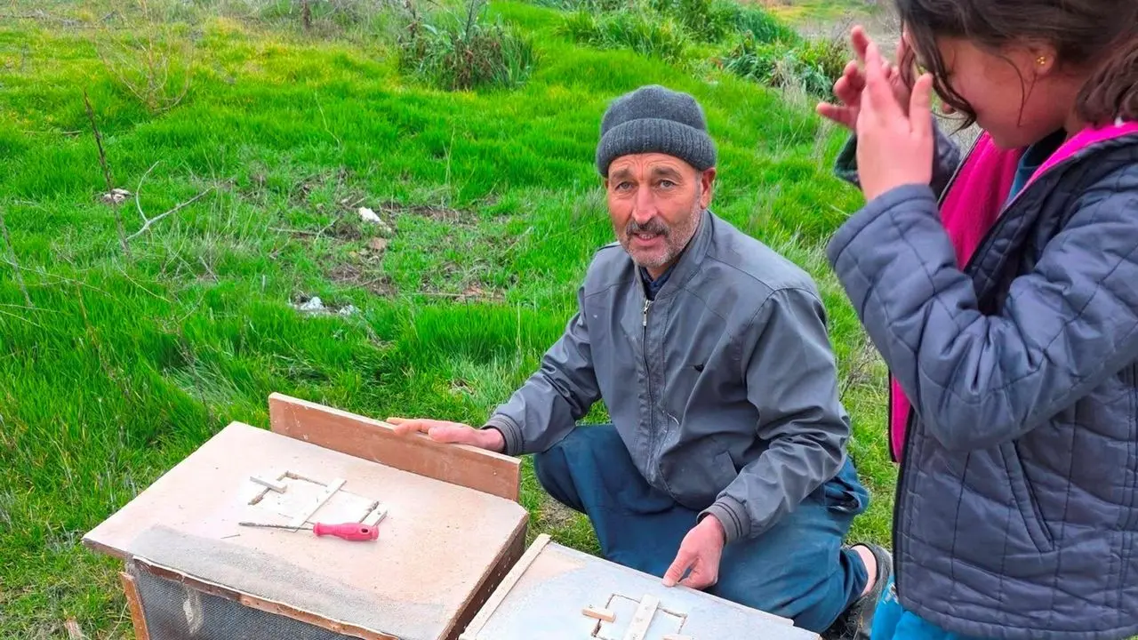 Mersin'de zamansız zirai ilaçlama arıların ölümüne sebep oldu - Mersin  Haberleri, Son Dakika Mersin Haber | Çukurova Gazetesi