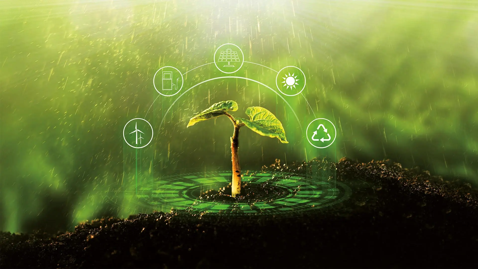 Yarının Garantörü Sürdürülebilir Tarım - Sürdürülebilir Üretim