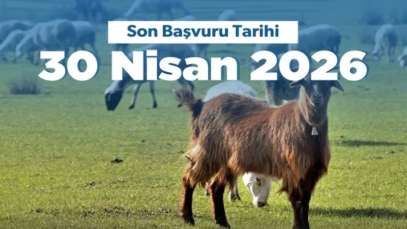 Kırsalda Küçükbaşa Destek Projesi"ne Başvuruları Devam Ediyor