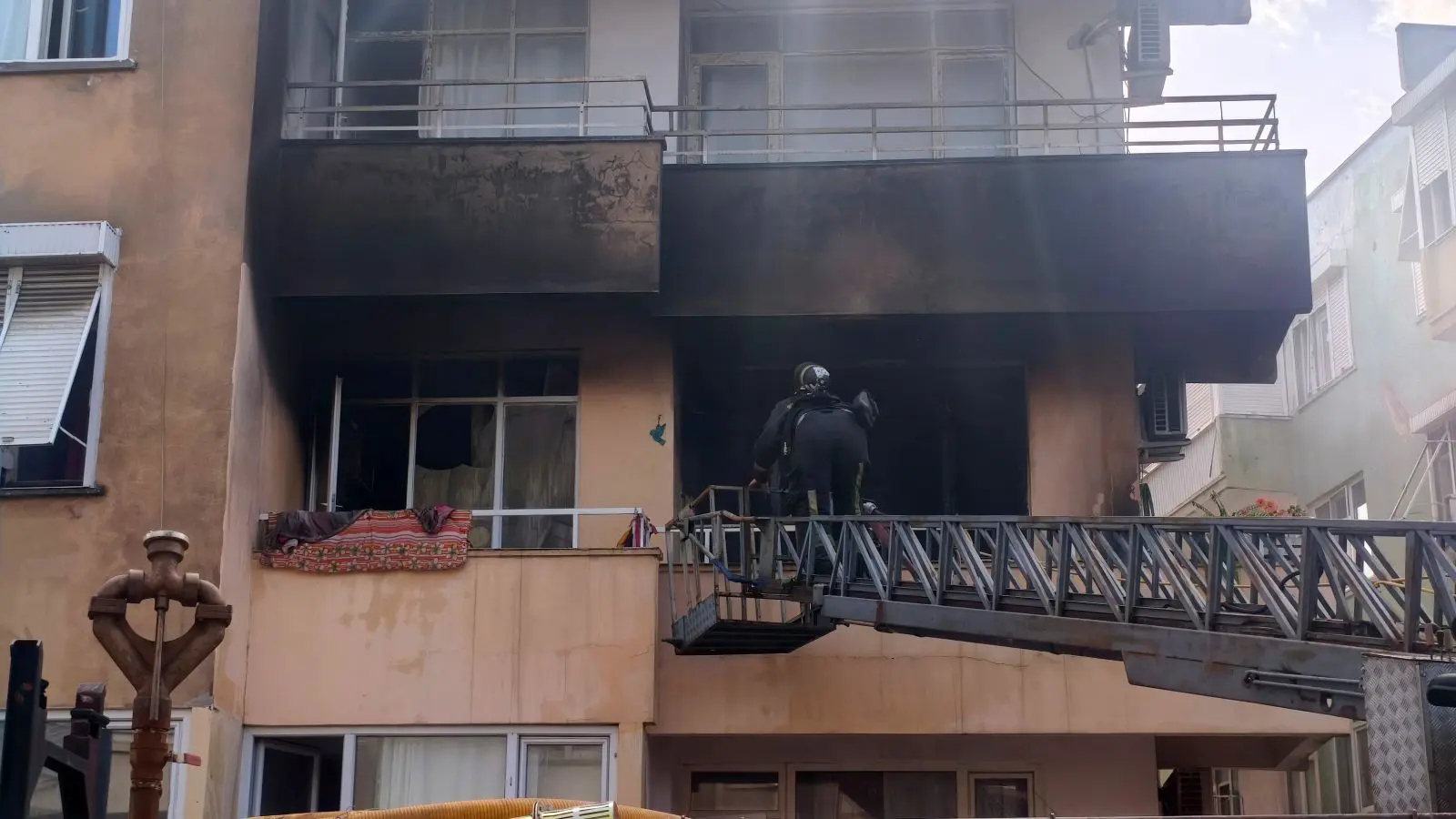 İTFAİYE ERİ YANGINDA DUMANDAN ETKİLENEN KEDİYİ KALP MASAJI İLE HAYATA  DÖNDÜRDÜ | Burdur Haber, Son Dakika Burdur Haberleri, Burdur Gündem