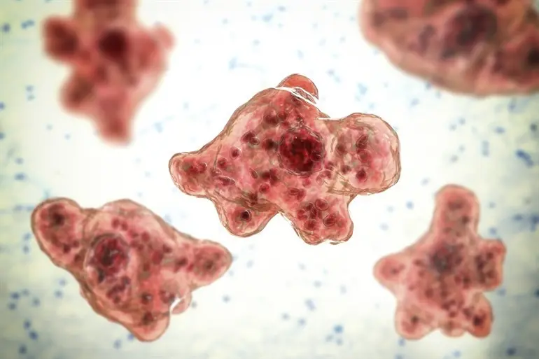 Beyin yiyen amip nedir, belirtileri nelerdir, nasıl anlaşılır? Beyin yiyen amip Türkiye'de var mı, nerelerde bulunur? İşte Beyin yiyen amip (Naegleria fowleri) tedavisi ve semptomları! - Güncel Haberler