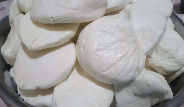 Elbistan Kelle Peyniri | KÜRE Encyclopedia