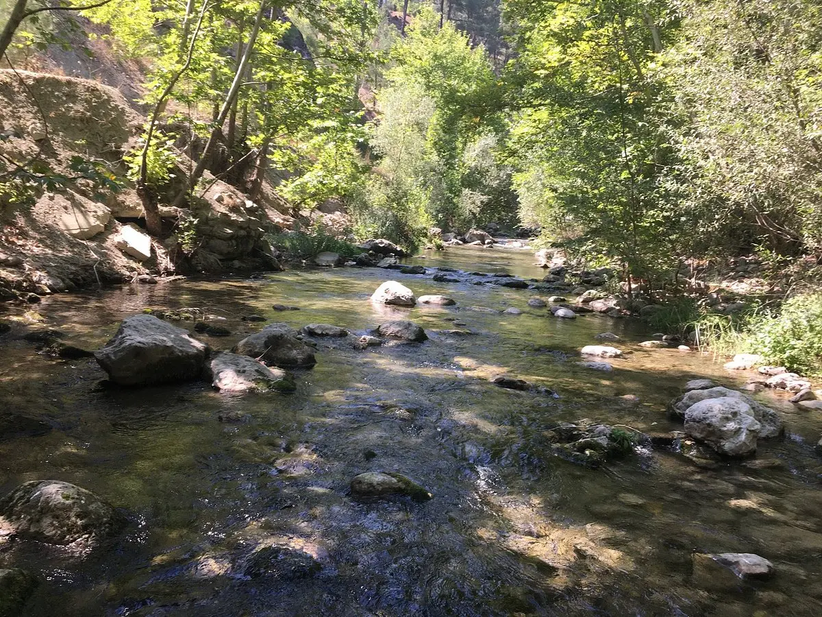 Fırnız Yaylası - Kahramanmaraş - 2026 - Tripadvisor